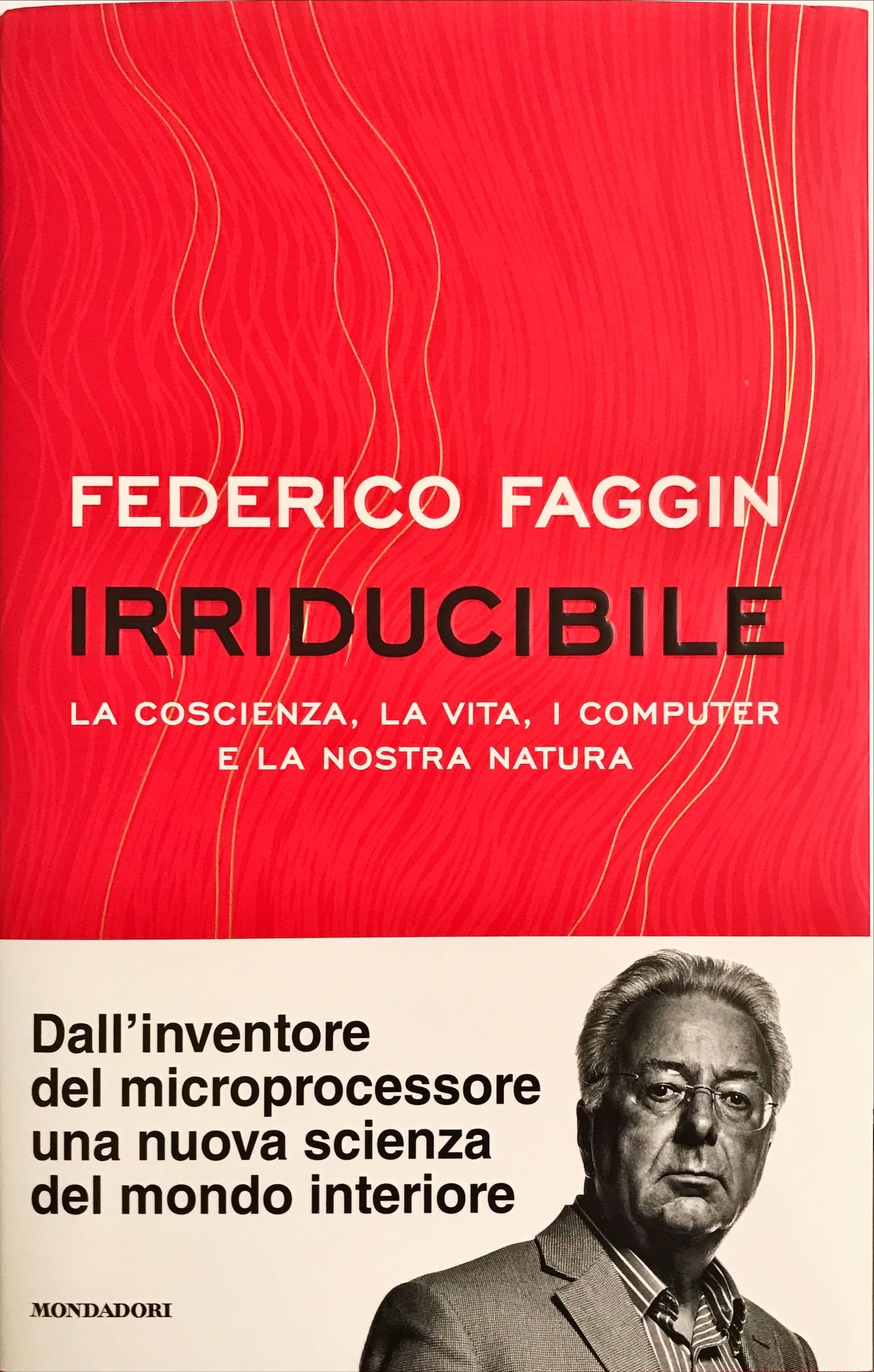 F.F. ovvero Federico Faggin